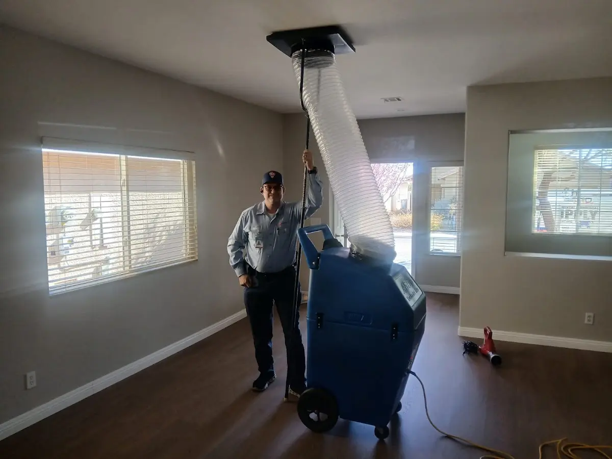 Professional Dryer Vent Cleaning work inside a Wayne home